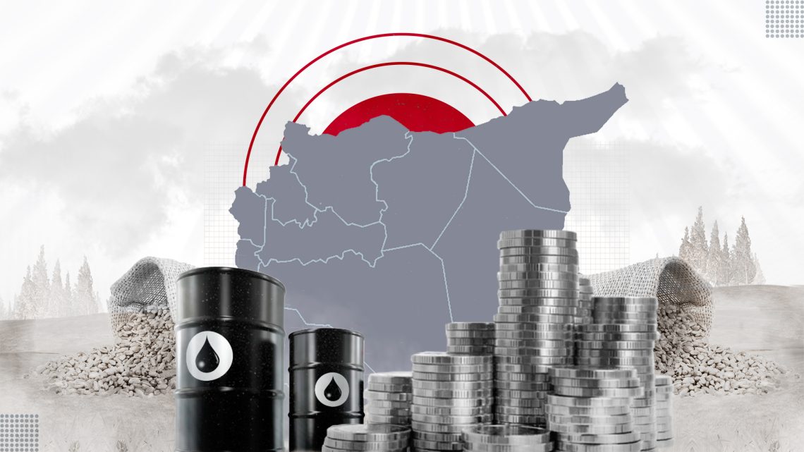 Decentralization in Syria: Economic Arrangements for Equitable Distribution of Wealth and Power